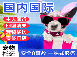 北京大兴航空快递国际宠物托运 【国